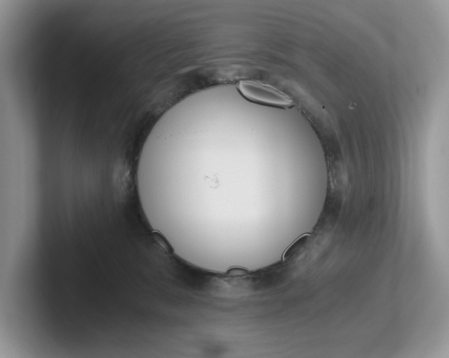 X0000101430327200807211155