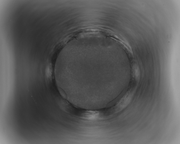 X0000101430328200807211155