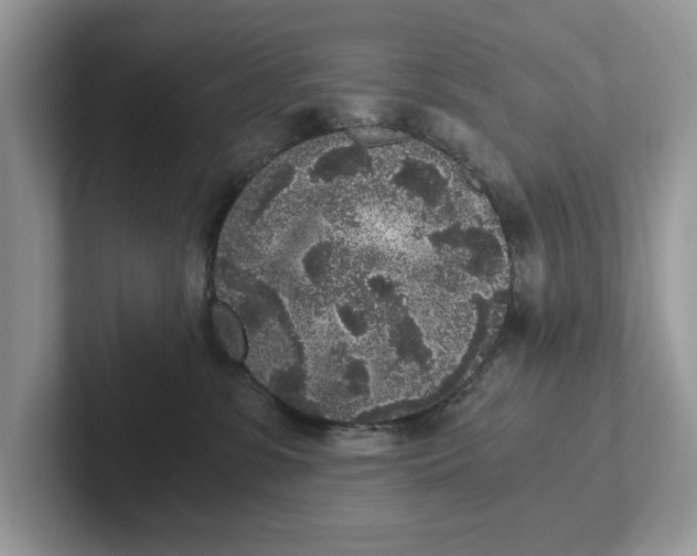 X0000101430331200807211155