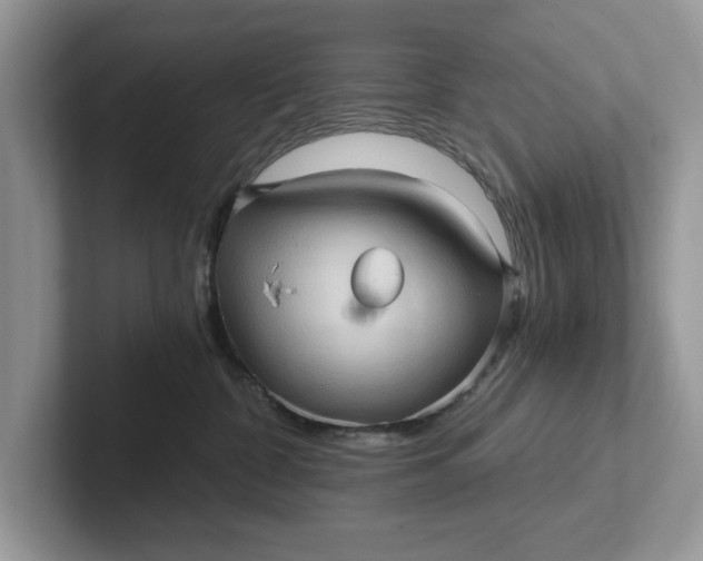 X0000101430332200807211155