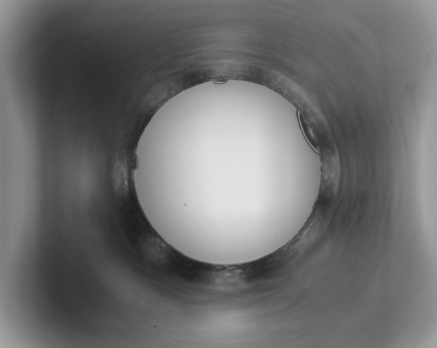 X0000101430333200807211155