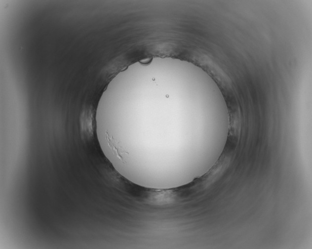 X0000101430334200807211155