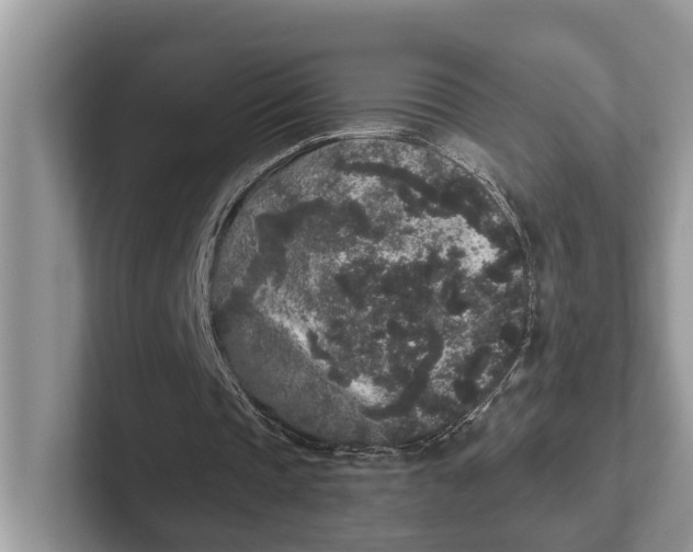 X0000101430337200807211155