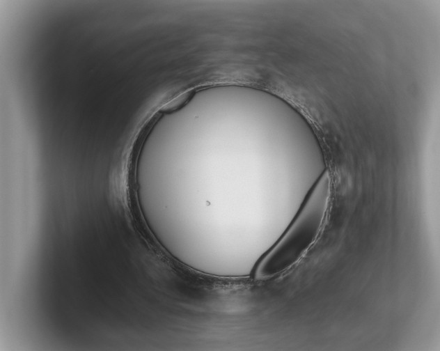 X0000101430340200807211155