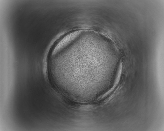 X0000101430342200807211155