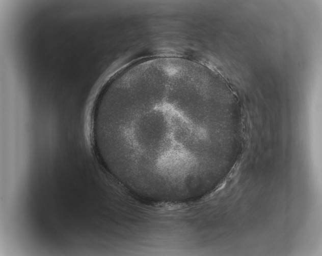 X0000101430343200807211155