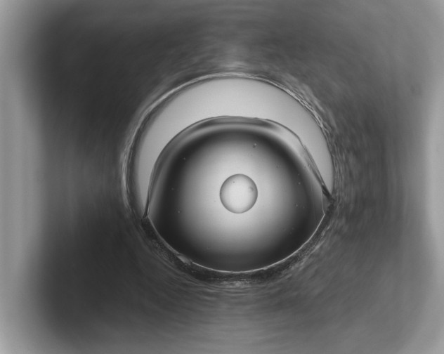 X0000101430344200807211155