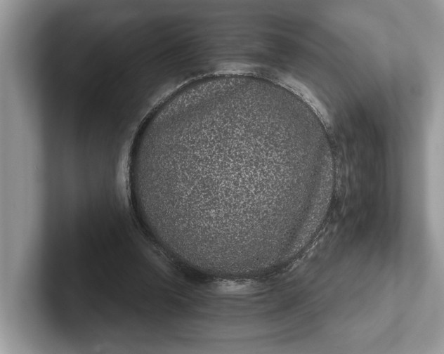 X0000101430346200807211155