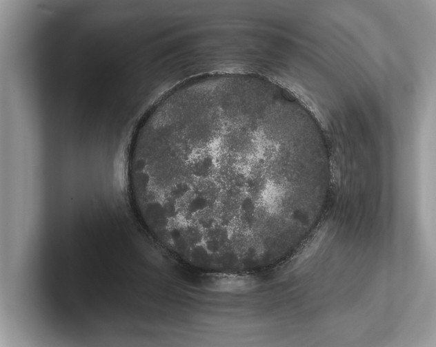 X0000101430347200807211155