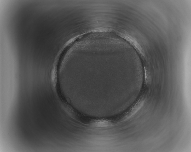 X0000101430348200807211155