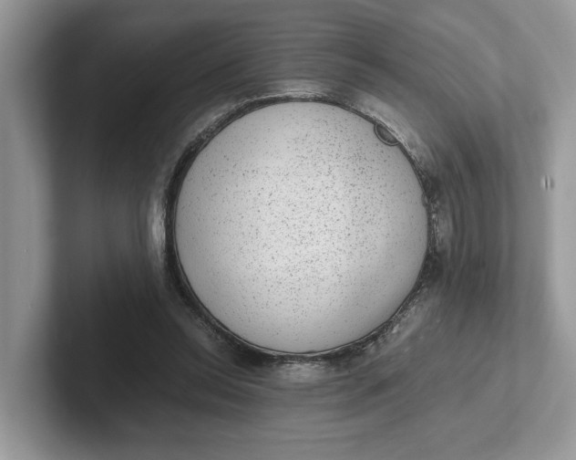 X0000101430350200807211155