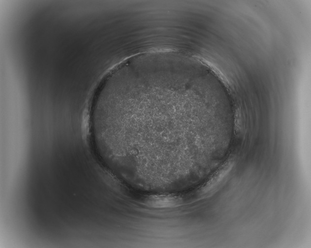 X0000101430351200807211155