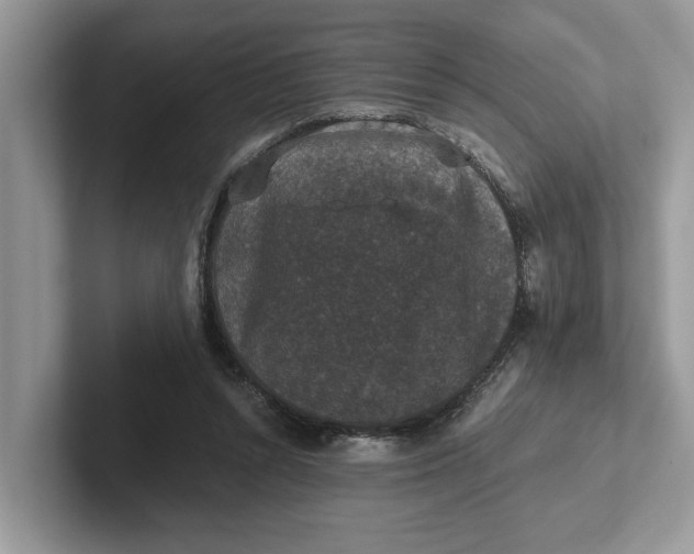 X0000101430352200807211155