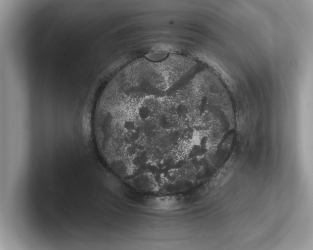 X0000101430353200807211155