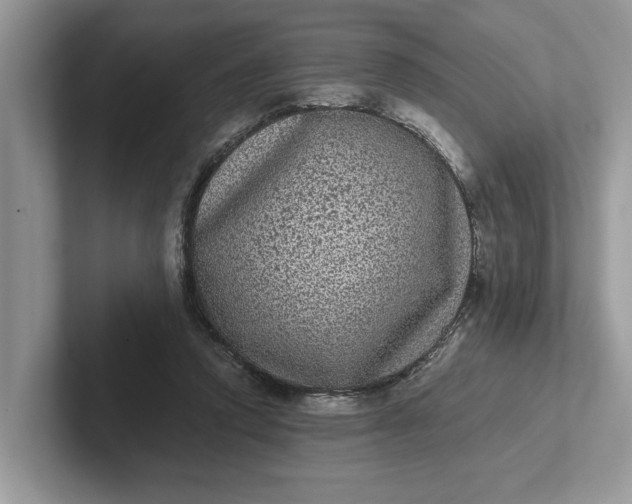 X0000101430354200807211155