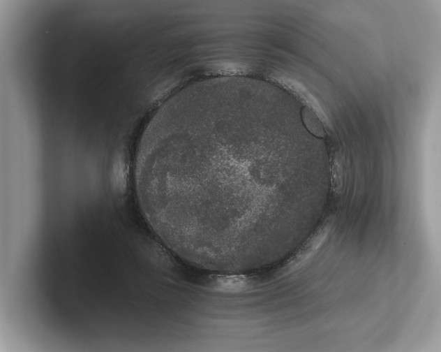 X0000101430355200807211155