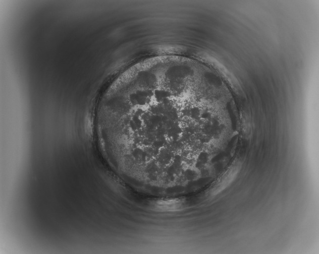 X0000101430357200807211155