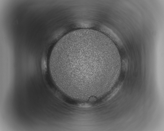 X0000101430358200807211155