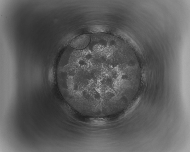 X0000101430359200807211155