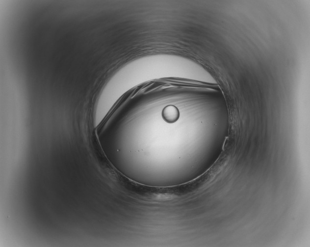 X0000101430360200807211155