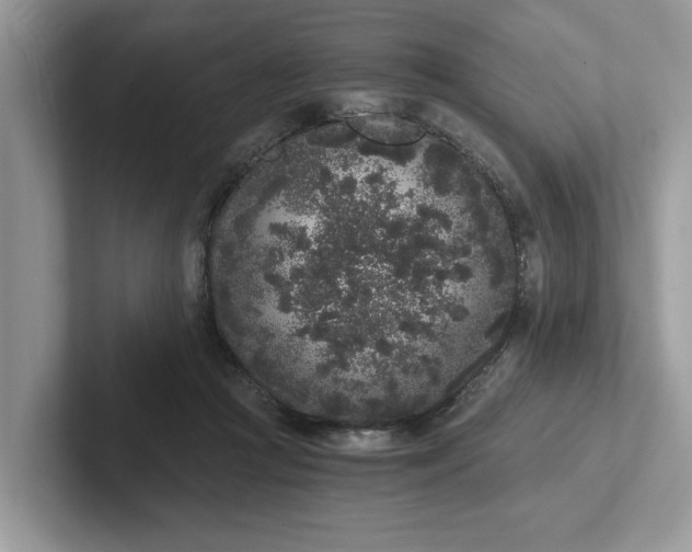 X0000101430361200807211155