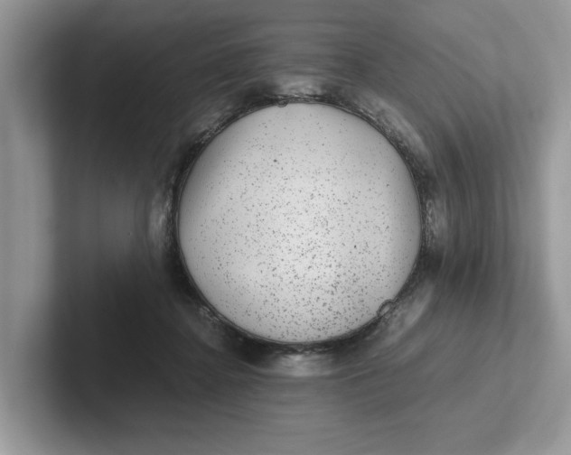 X0000101430364200807211155