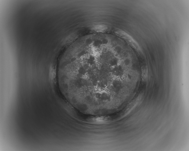 X0000101430365200807211155