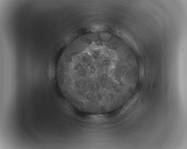 X0000101430367200807211155