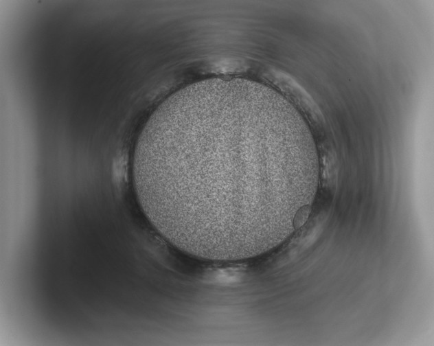 X0000101430368200807211155