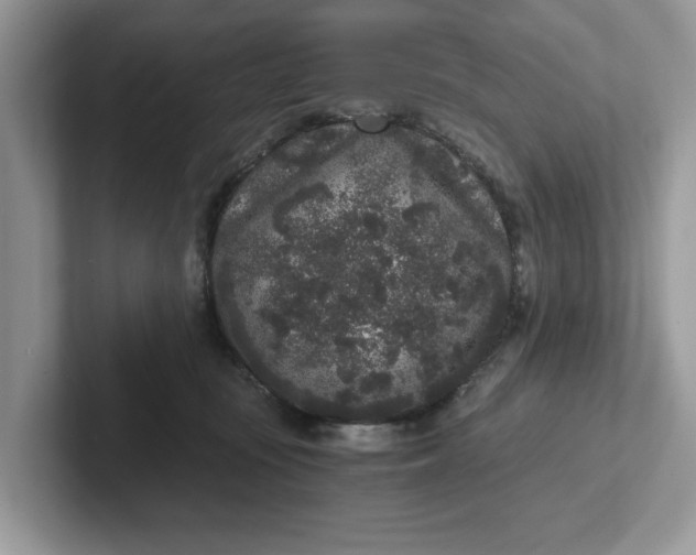 X0000101430371200807211155