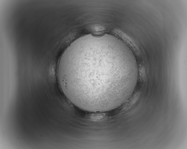 X0000101430373200807211155