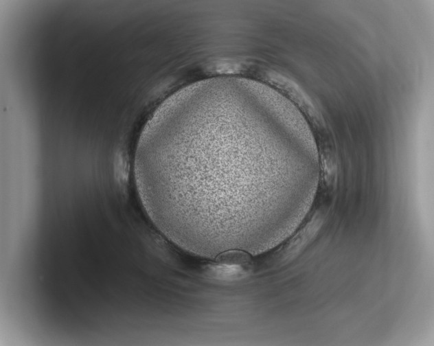 X0000101430374200807211155