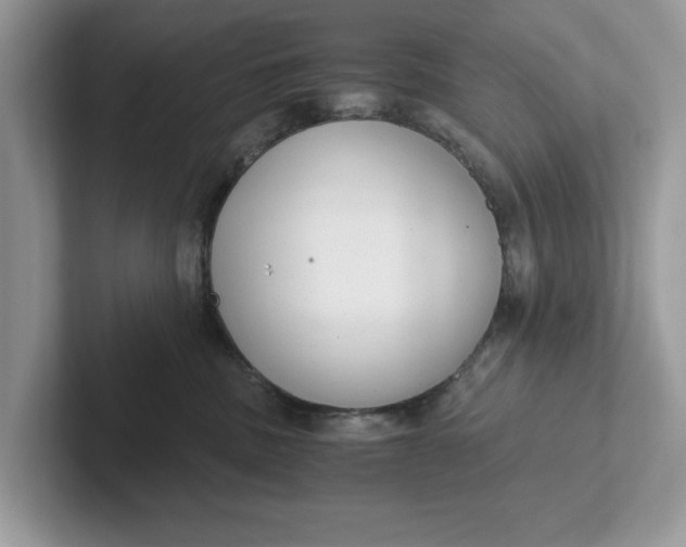 X0000101430379200807211155