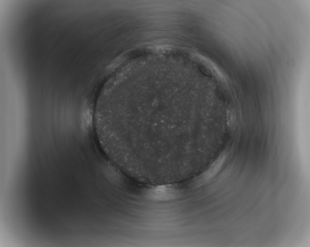 X0000101430382200807211155