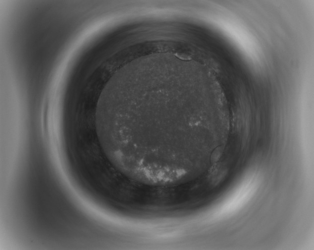 X0000101430383200807211155