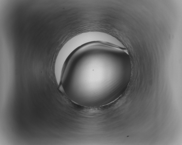 X0000101430384200807211155