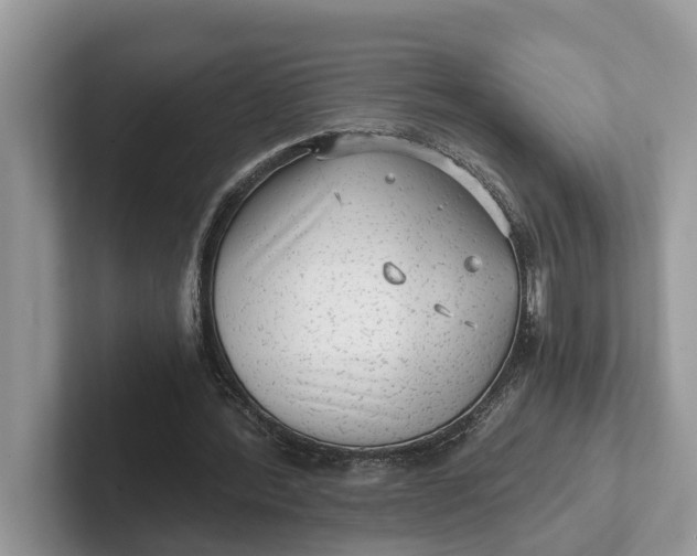 X0000101430388200807211155