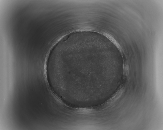 X0000101430389200807211155