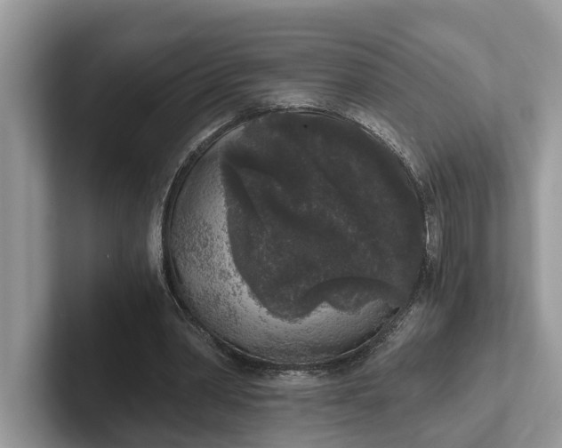 X0000101430390200807211155