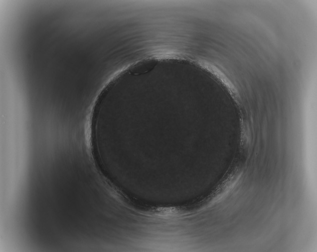 X0000101430391200807211154