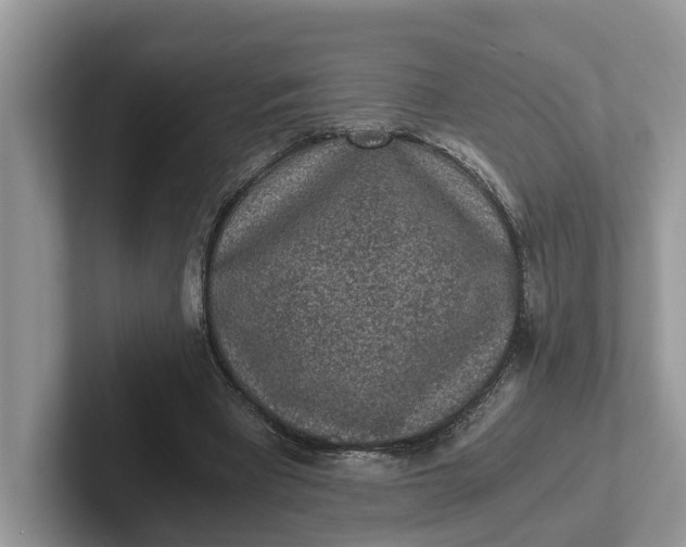 X0000101430393200807211154