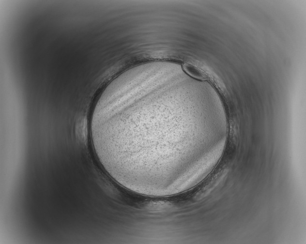 X0000101430397200807211154