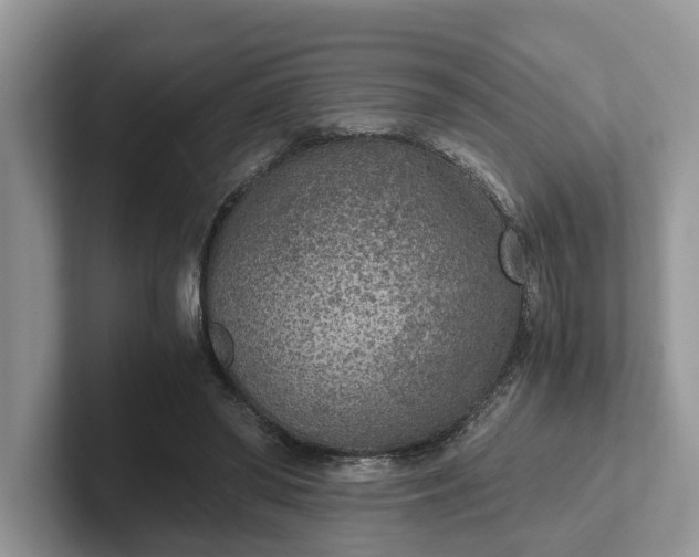 X0000101430398200807211154