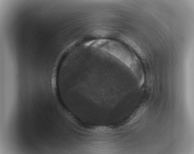 X0000101430399200807211154