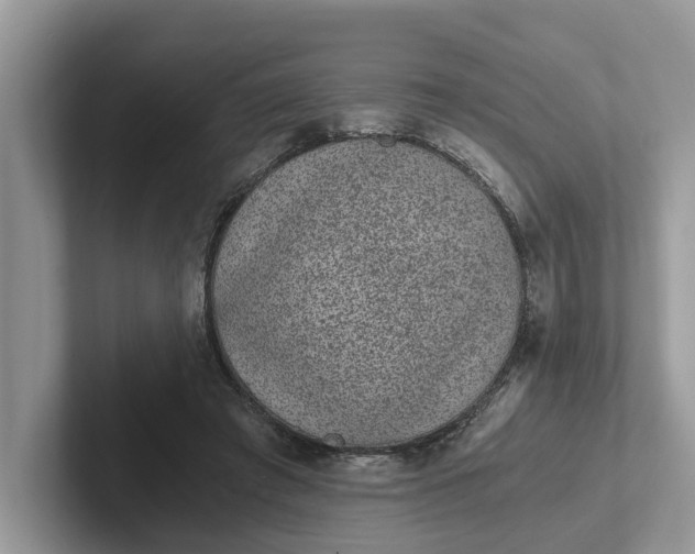 X0000101430401200807211154