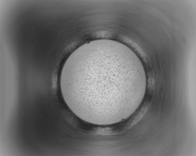 X0000101430403200807211154