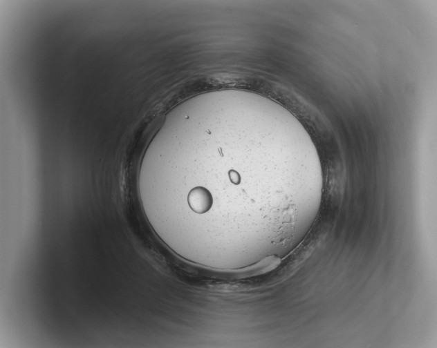 X0000101430408200807211154