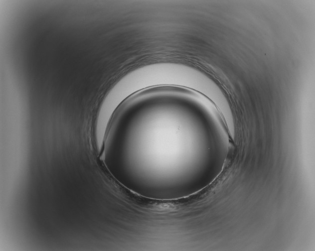 X0000101430409200807211154