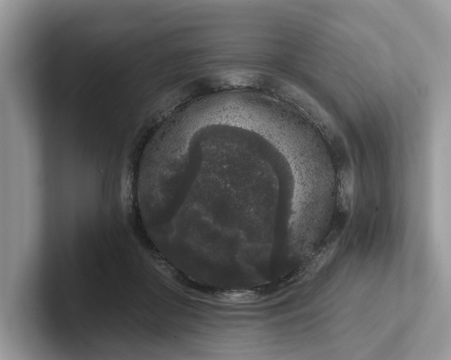 X0000101430410200807211154