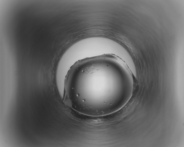 X0000101430411200807211154